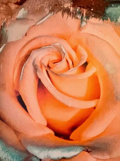 Gemälde einer großformatigen, weich beleuchteten Rose in warmen Pfirsich‑ und Apricot­tönen. Die Blütenblätter wirken samtig und leicht abstrahiert. Um die Rose herum befinden sich malerische Strukturen in Türkis, Braun und Beige, die dem Werk eine organische, leicht verwitterte Textur verleihen. Das Bild misst 80 × 60 cm und hat eine moderne, expressive Anmutung.