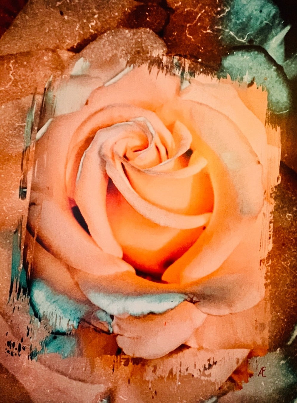 Gemälde einer großformatigen, weich beleuchteten Rose in warmen Pfirsich‑ und Apricot­tönen. Die Blütenblätter wirken samtig und leicht abstrahiert. Um die Rose herum befinden sich malerische Strukturen in Türkis, Braun und Beige, die dem Werk eine organische, leicht verwitterte Textur verleihen. Das Bild misst 80 × 60 cm und hat eine moderne, expressive Anmutung.