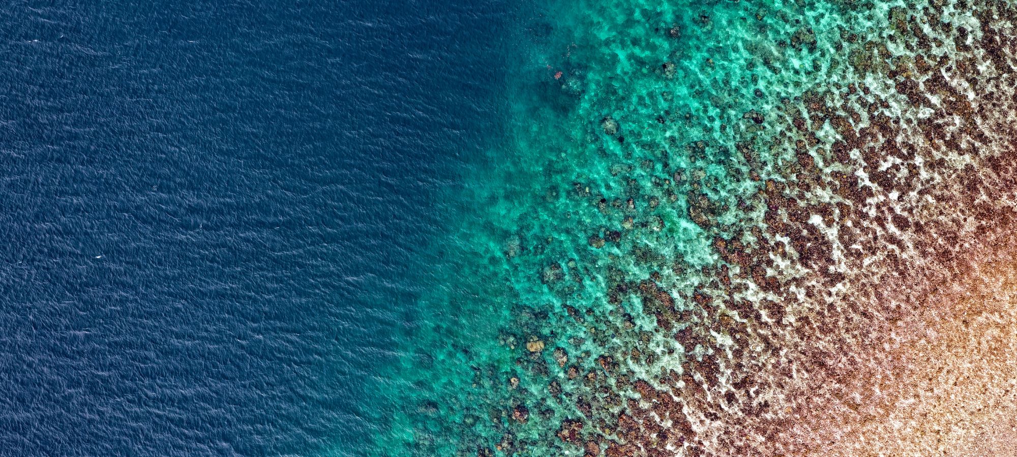 Spektakuläre Luftaufnahme eines Ozeans mit tiefblauem Wasser, das in eine türkisfarbene Brandungszone übergeht, mit detaillierten Strukturen eines Riffs oder Meeresgrundes.