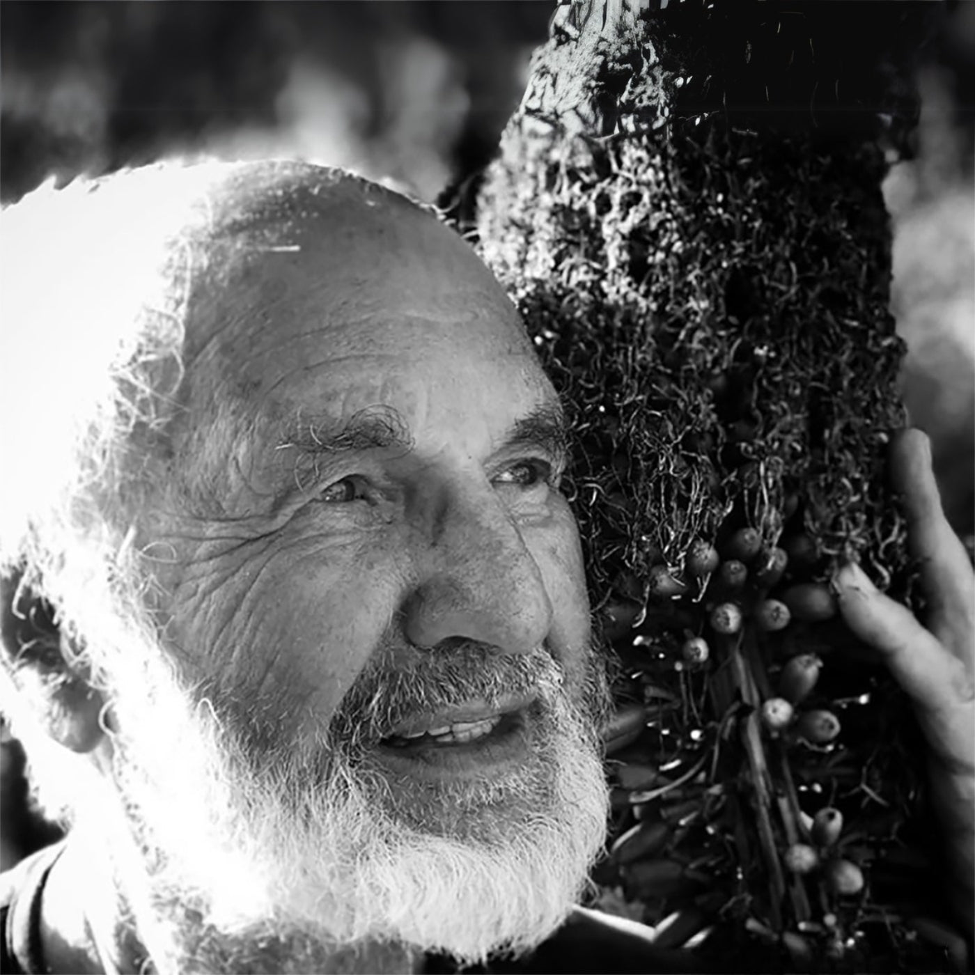 Schwarz-weiß Fotografie: Eine Person hält ein großes, naturbelassenes Pflanzenbündel mit Beeren und Wurzeln, umgeben von weichem Licht und unscharfem Hintergrund.