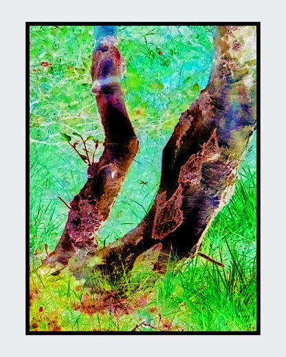 Ralf Sempf Birkenstämme, abstrahierte Naturfotografie, Bäume in leuchtenden Grün- und Türkistönen, verträumte Szene