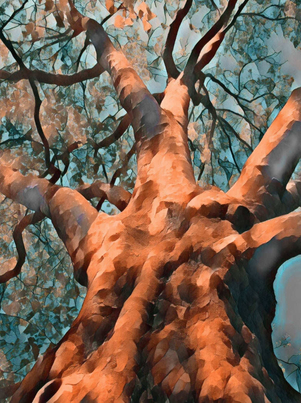 Digitale Fotografie auf Leinwand von Ralf Sempf, Titel: "Himmelwärts strebend", 80 x 60 cm, Leinwand mit Keilrahmen, expressive Bearbeitung, warme Orangetöne, bläulich-grüne Blätter, Froschperspektive, kraftvolle Darstellung eines Baumes, einzigartige Textur. Bei ARTSPACER.