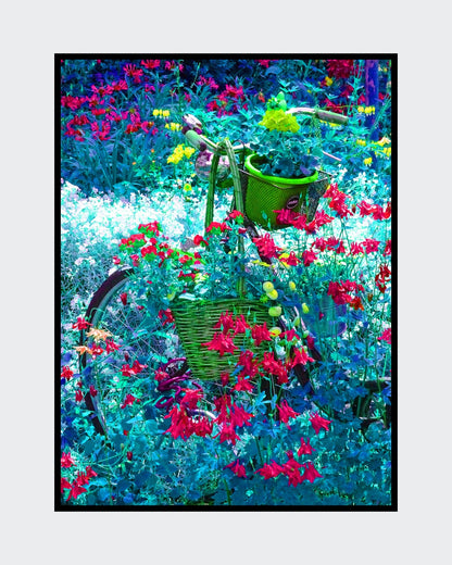 „Nein, fahren kann man mit dem Rad wohl nicht mehr“ – Kunstfotografie von Ralf Sempf. Ein altes Fahrrad, überwuchert von bunten Blumen, eingebettet in eine traumhafte Gartenlandschaft.