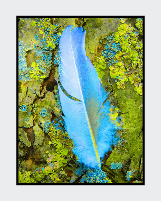 Digitale Fotografie "Nur eine Feder" von Ralf Sempf, zeigt eine einzelne Feder in Nahaufnahme, detailreich bearbeitet, auf Leinwand mit Keilrahmen gedruckt, 80x60 cm. 