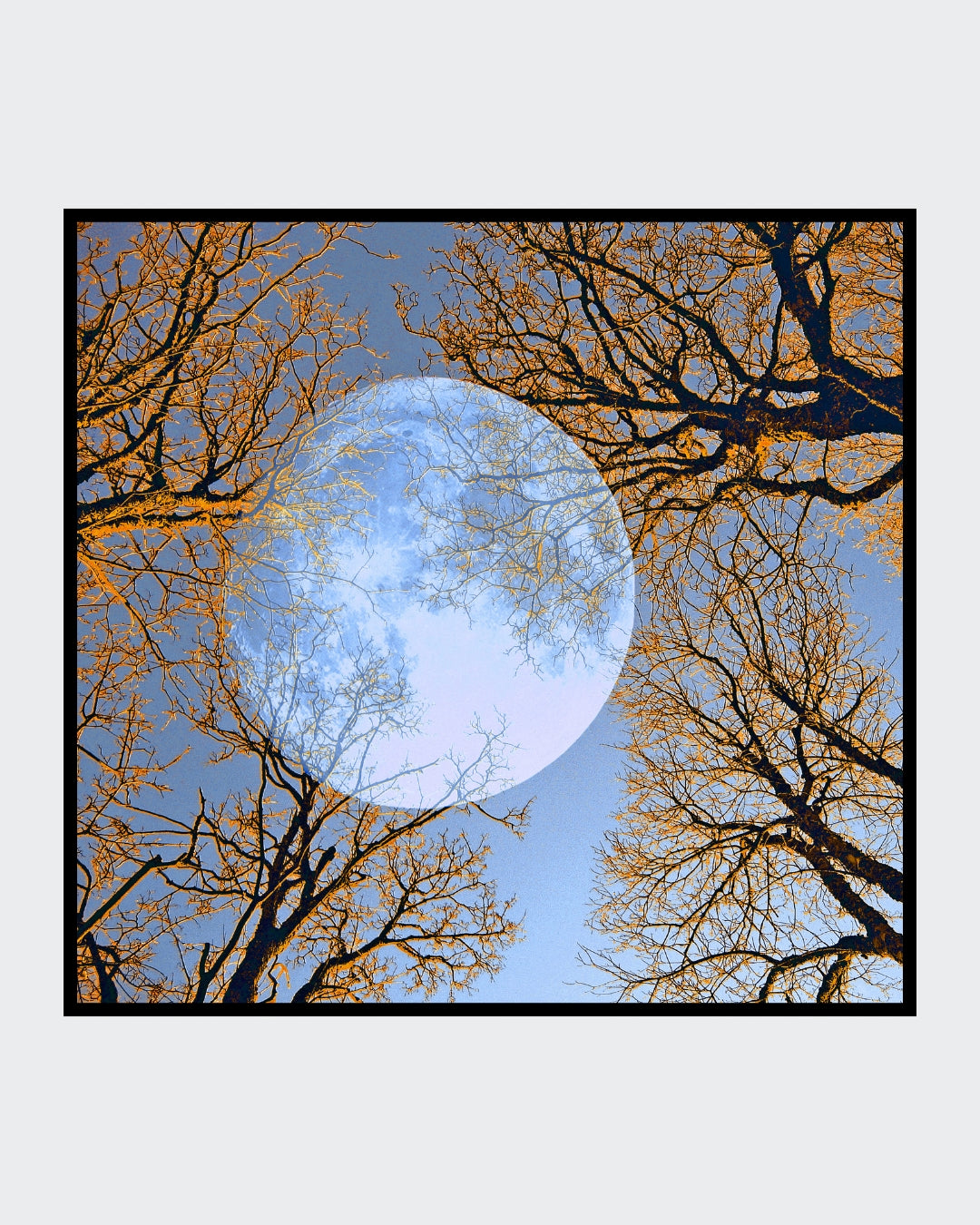 Ralf Sempf Vollmond, surrealistische Fotomontage, Doppelbelichtung, Blick durch orange-braune Baumwipfel auf einen riesigen blauen Mond