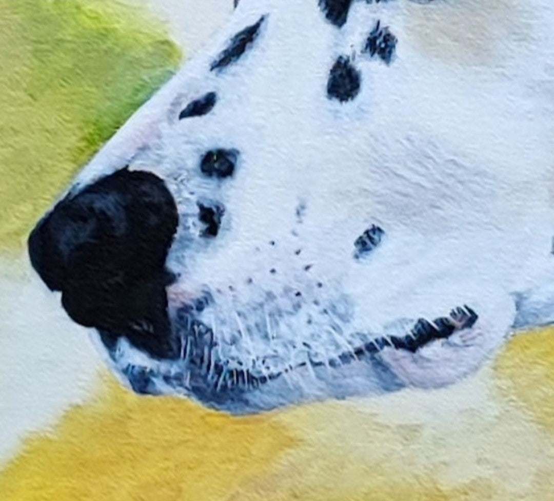 Acrylgemälde eines Dalmatiners von Smillya Dartsch – detailgetreu gemalt, mit lebendigen Kontrasten und einer Schutzfirnis für brillante Farbkraft.